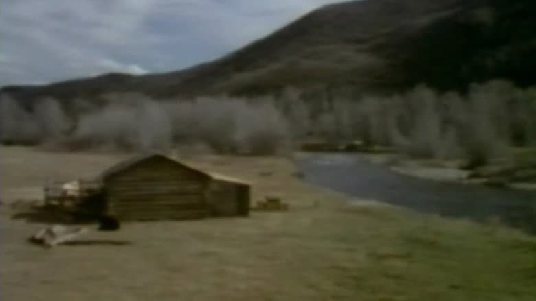 Backdrop from In Search of a Golden Sky