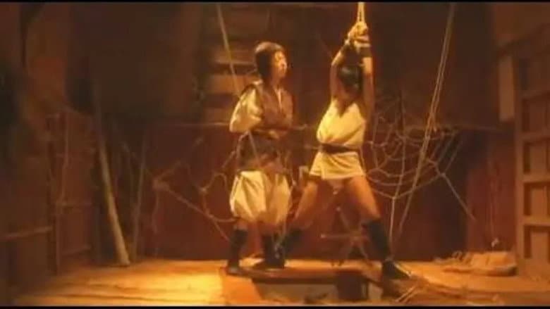 Backdrop from Lady Ninja Kasumi 6: Yukimura Assasination