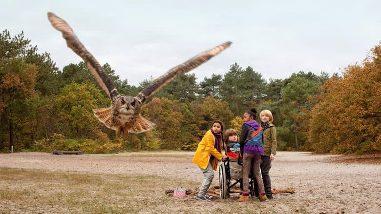 Backdrop from Owls & Mice