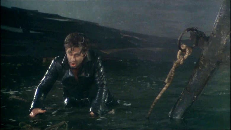 Backdrop from Der Fliegende Holländer
