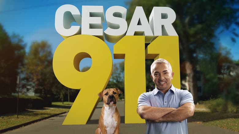 Backdrop from Cesar 911