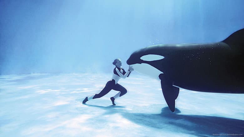 Backdrop from Blackfish