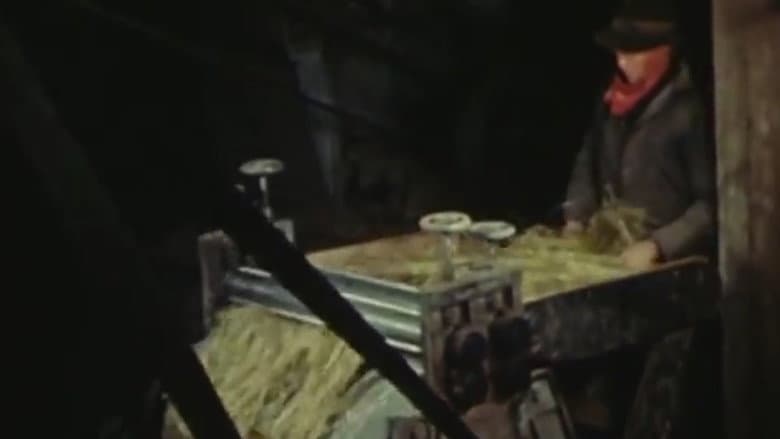 Backdrop from Flax of Canada - Part Two: The Use of Flax