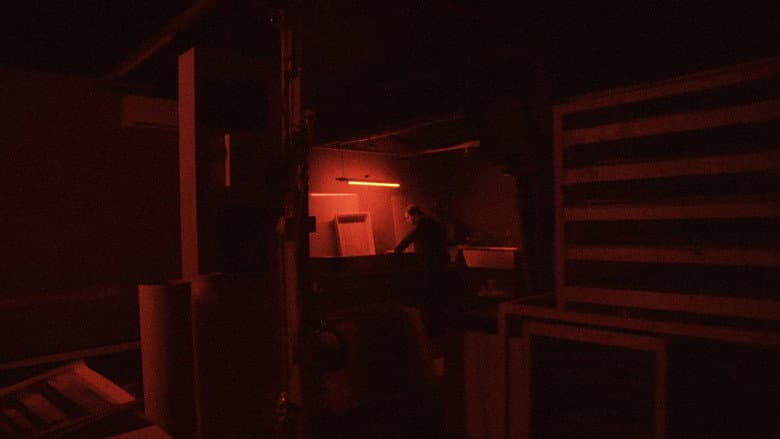 Backdrop from Grain: Analog Renaissance