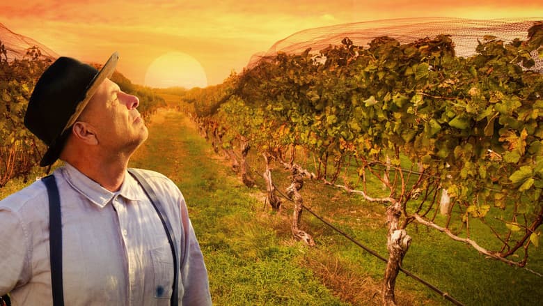 Backdrop from From the Vine