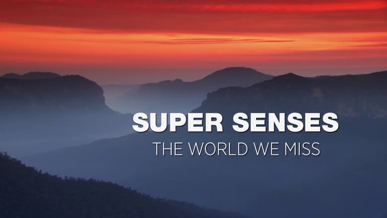 Backdrop from Super Senses