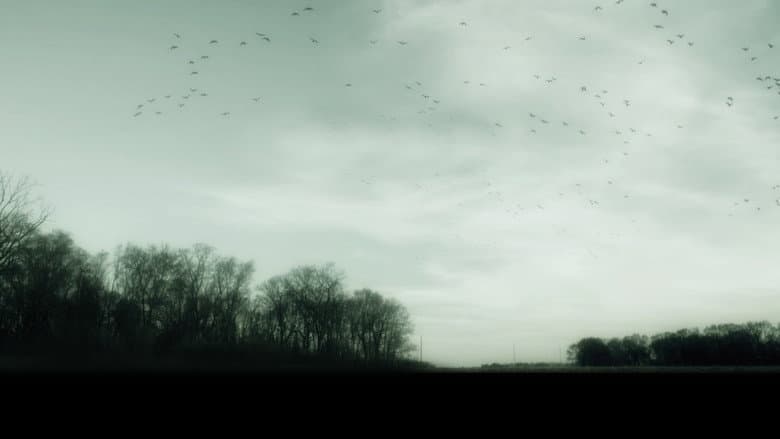 Backdrop from Gone