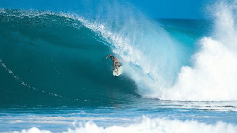 Backdrop from Searching for Tom Curren
