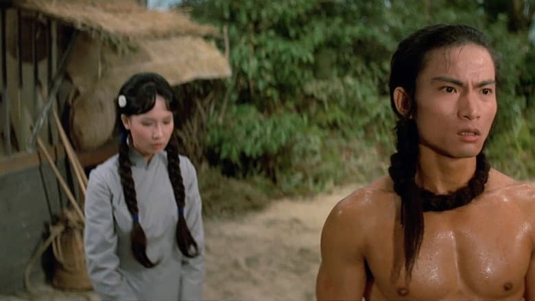 Backdrop from Shaolin Martial Arts