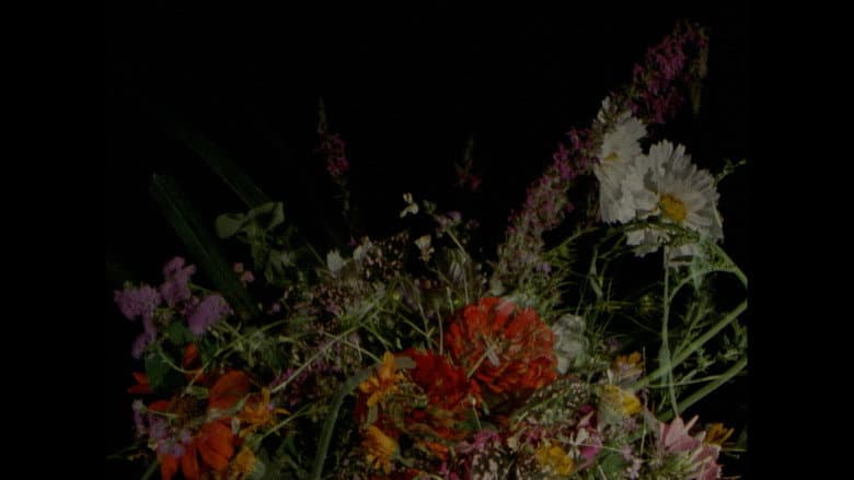 Backdrop from Lover, Lovers, Loving, Love