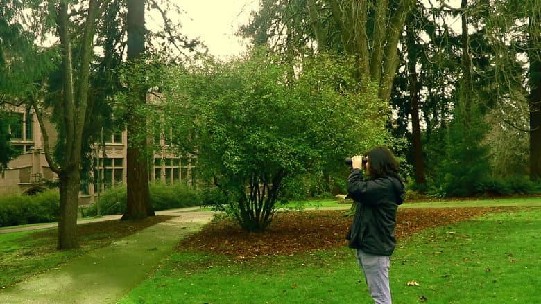 Backdrop from A Man Finds Binoculars