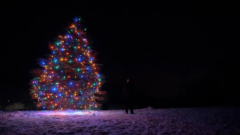 Backdrop from Secret Santa: A Christmas Adventure