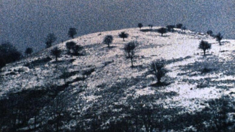 Backdrop from Differently, Molussia