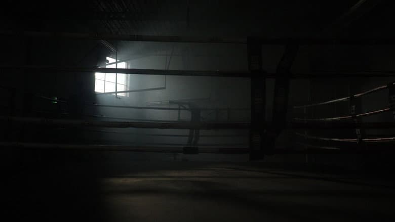 Backdrop from My Fighter