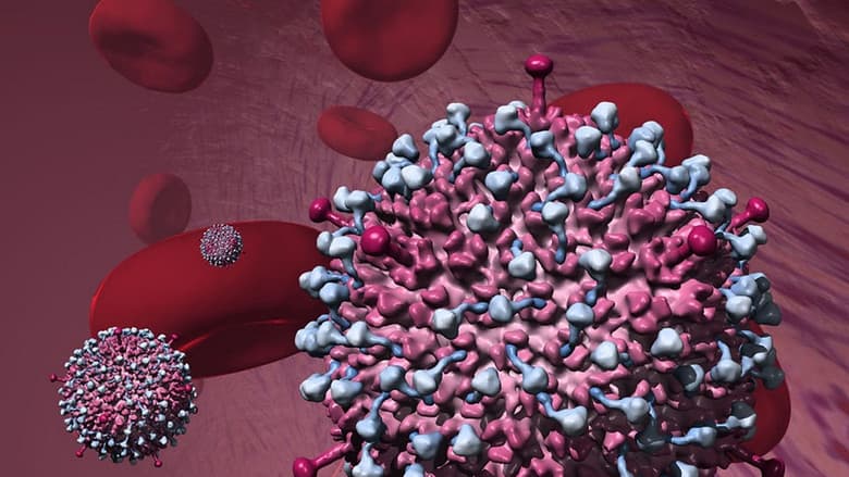 Кадр із фільму «Why Do Viruses Kill?»