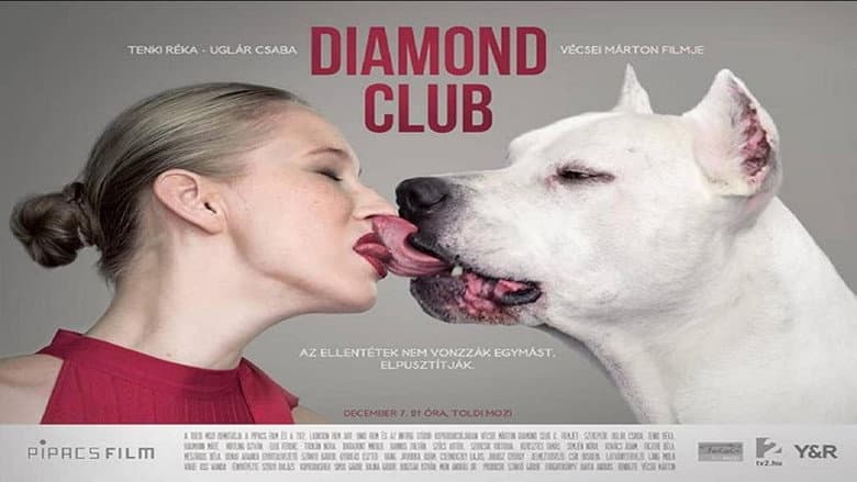 Backdrop from Diamond Club