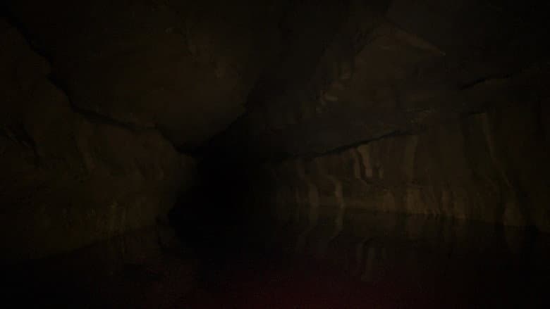 Backdrop from The Belly of the Beast