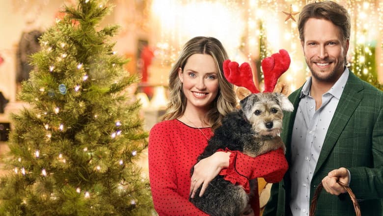 Backdrop from Picture a Perfect Christmas