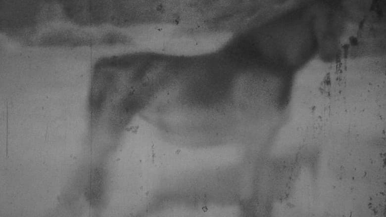 Backdrop from Darkness