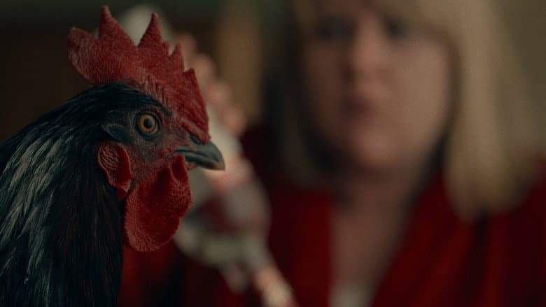 Backdrop from The Rooster