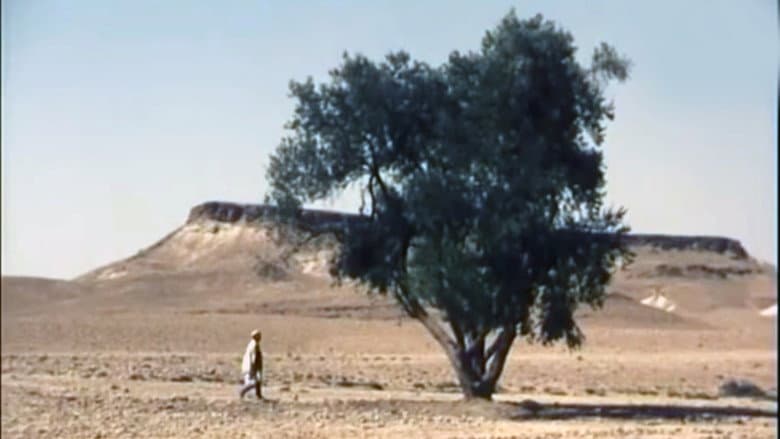 Backdrop from The Olive Tree of Boul'hivet