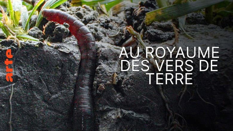 Backdrop from Au royaume des vers de terre : La vie du sol dévoilée