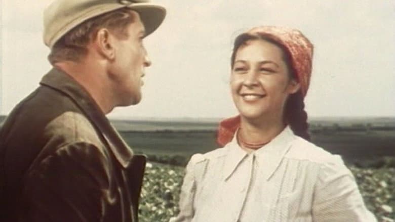 Backdrop from Bountiful Summer