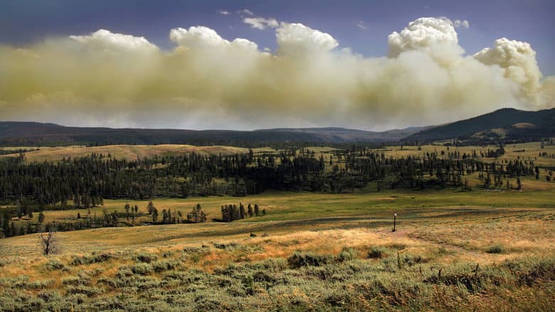 Backdrop from National Parks Exploration Series: Yellowstone