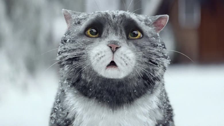 Backdrop from Sainsbury's: Mog's Christmas Calamity