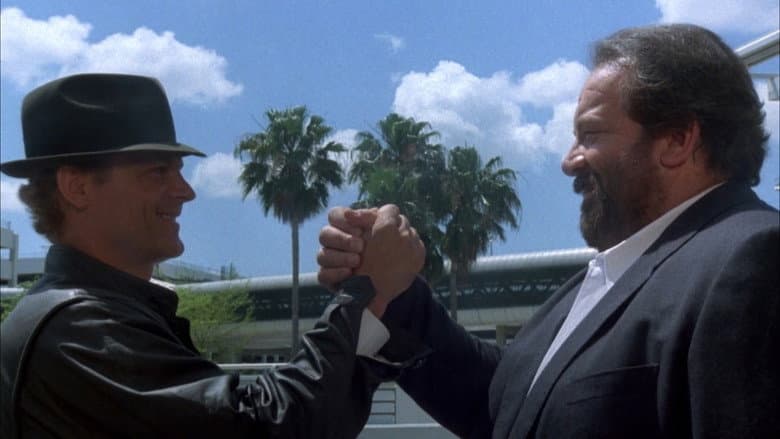Backdrop from Miami Supercops