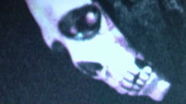 Backdrop from Mortal Remains