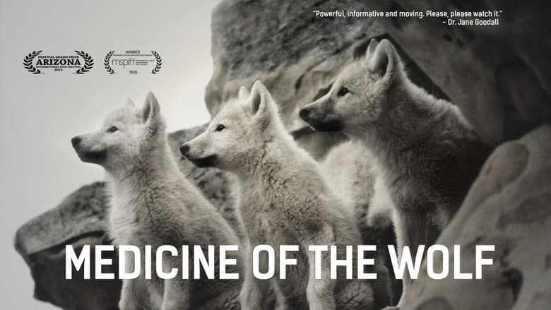 Backdrop from Medicine of the Wolf