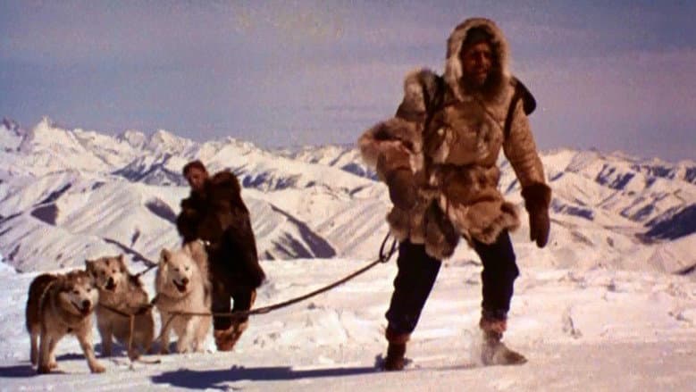 Backdrop from The Wild North