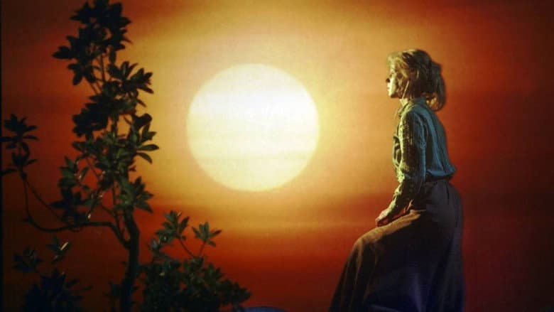 Backdrop from The Prince Beyond the Seven Seas