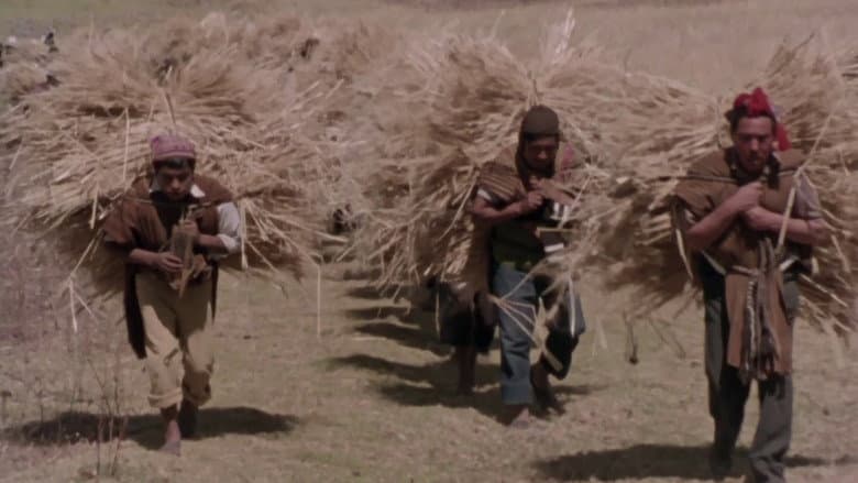 Backdrop from Child of the Andes