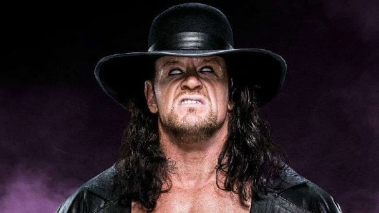 Backdrop from WWE: Undertaker 15-0