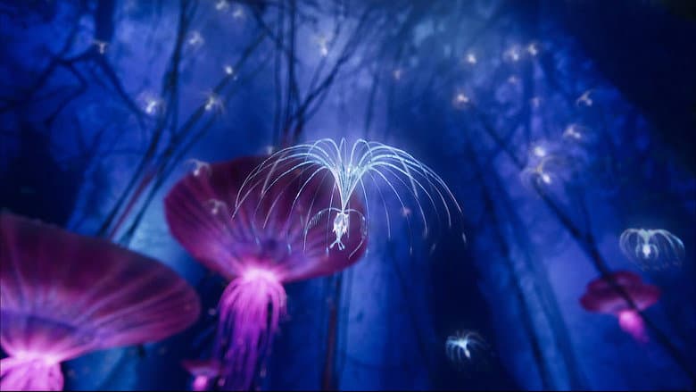 Backdrop from Avatar: Creating the World of Pandora