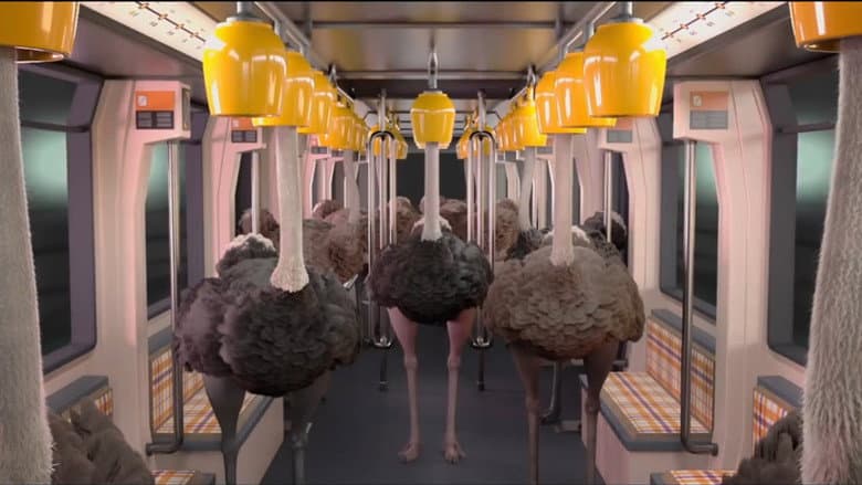 Backdrop from Ostrich Politic