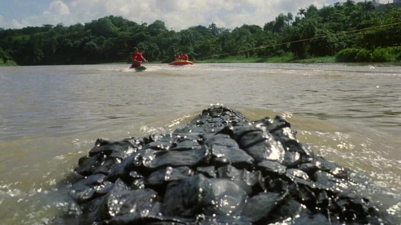 Backdrop from Killer Crocodile 2