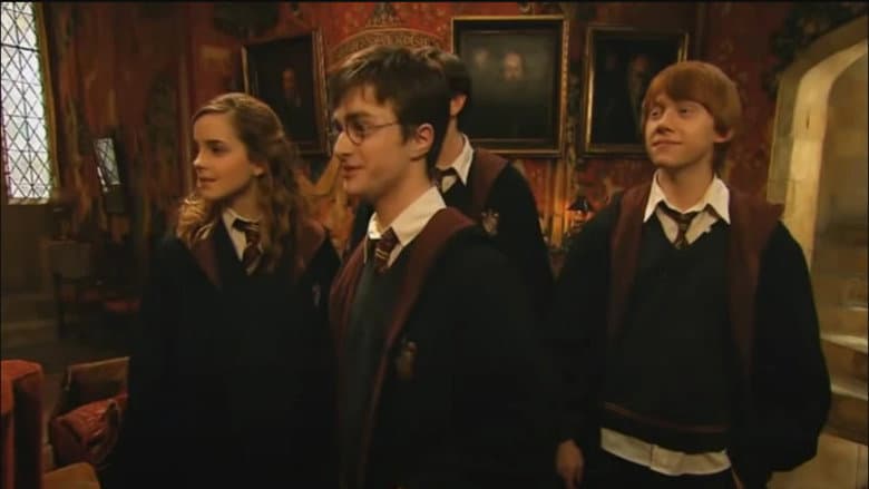 Backdrop from The Children's Party at the Palace: Harry Potter and the Queen's lost handbag