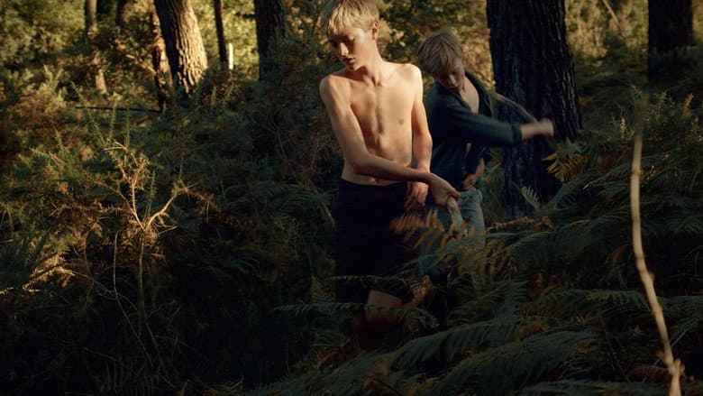 Backdrop from Escape Into the Wild