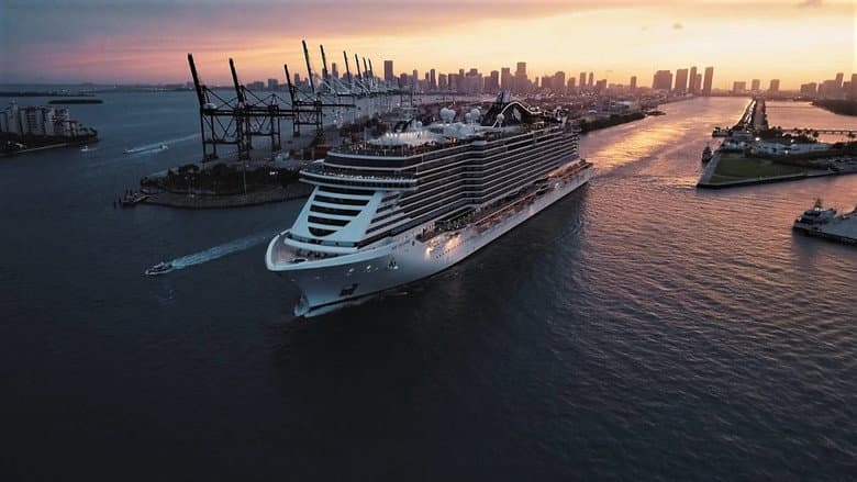Кадр із фільму «The Secret Life of the Cruise»