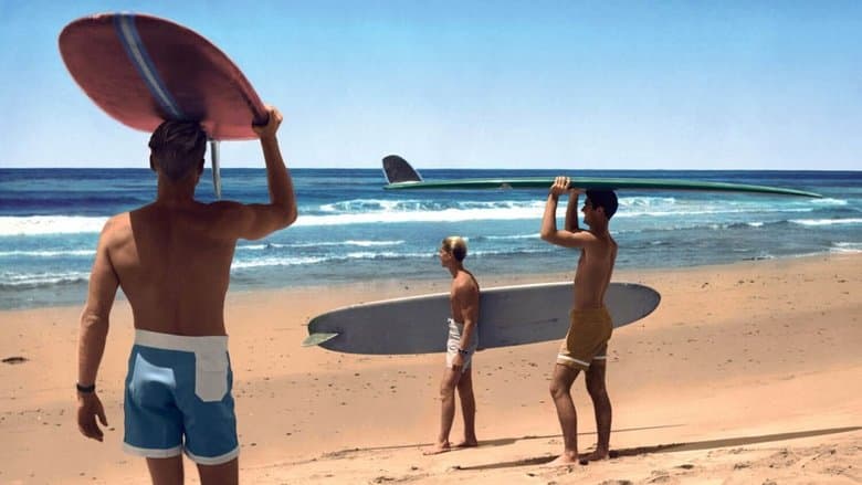 Backdrop from The Endless Summer