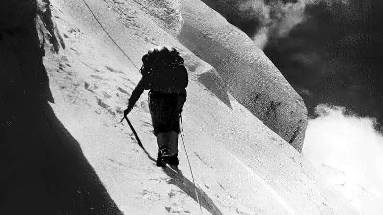 Backdrop from Shakhaur 7116m, Face Nord