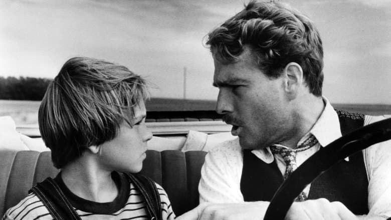 Backdrop from Paper Moon