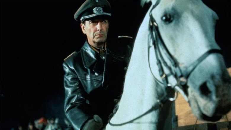Backdrop from Miracle of the White Stallions