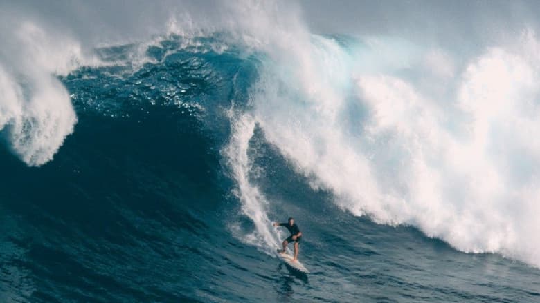 Backdrop from Yard. Big Wave
