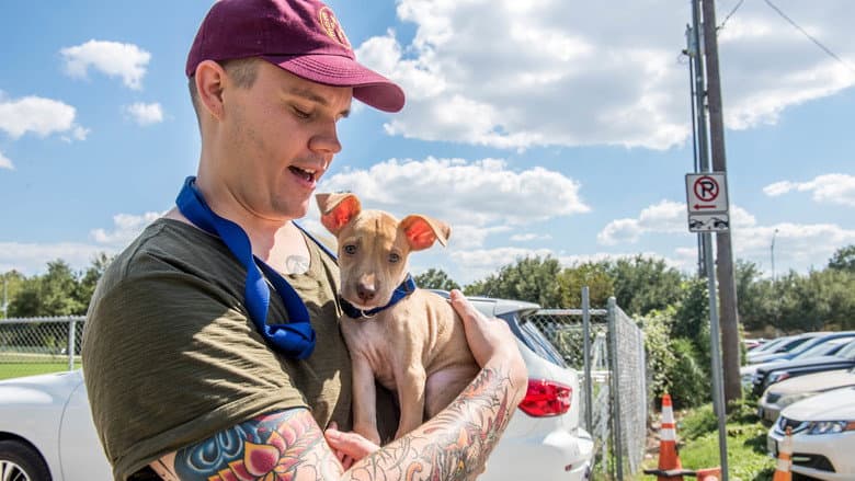Backdrop from Surviving Harvey: Animals After the Storm