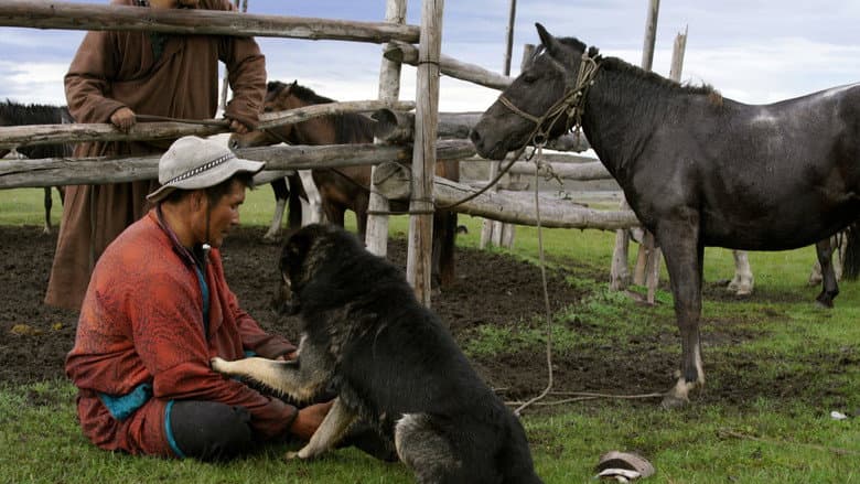 Backdrop from The Bounty Hunter of Mongolia