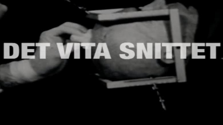 Backdrop from Det vita snittet